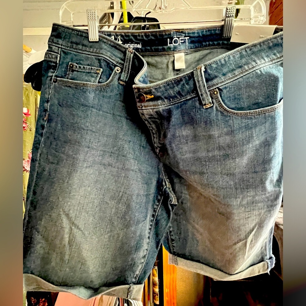Loft shorts size 14 brand new